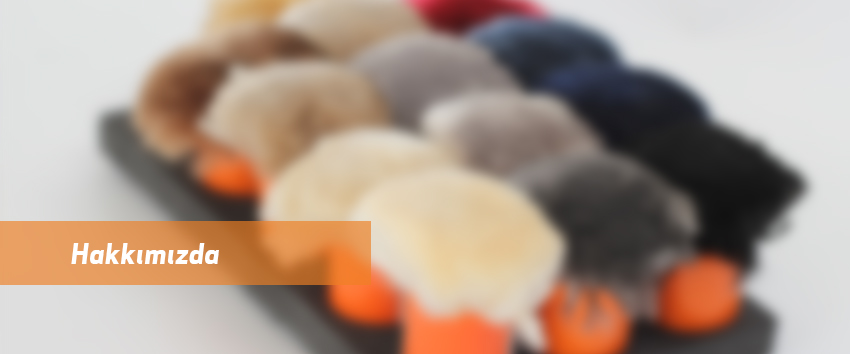 Hakkımızda